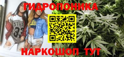 прущие крисы Новоалександровск
