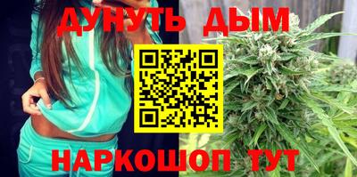 стафф Славгород