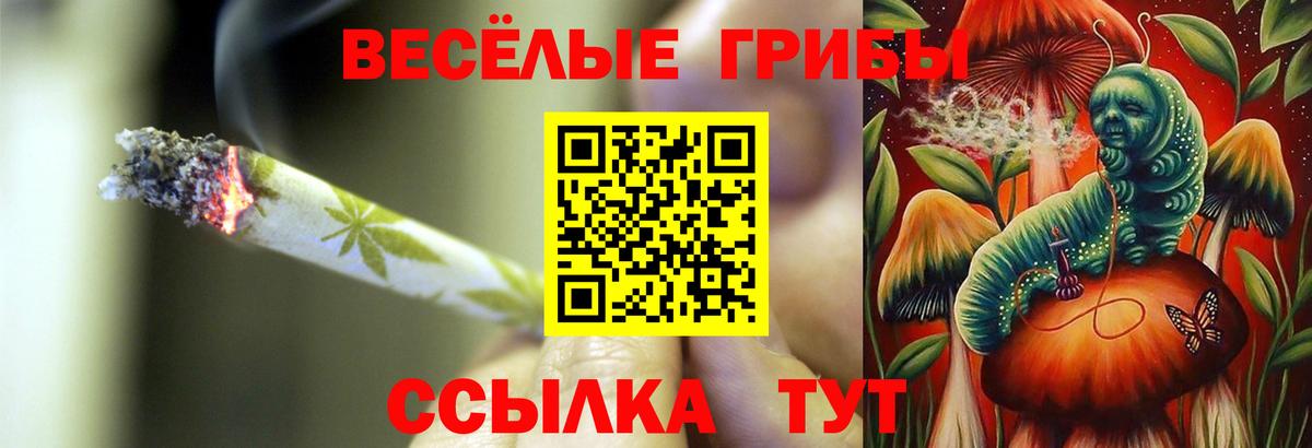 Галлюциногенные грибы мицелий Нижний Новгород